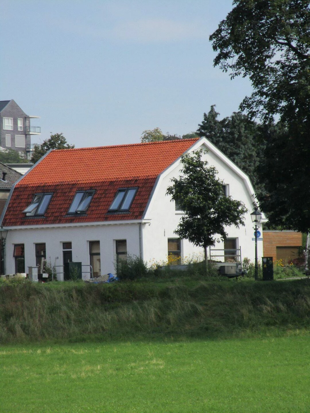 IMG_0010 (Large)